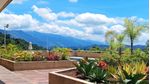 Remax_267948-_08.jpg