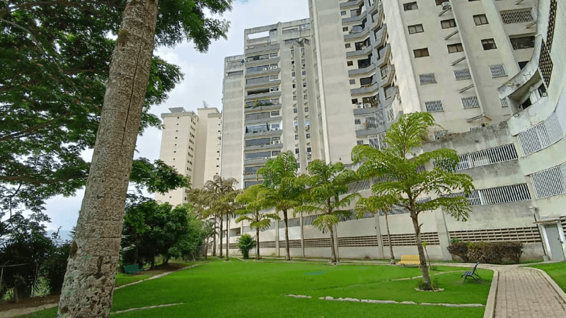 rochi_9076333_01.png