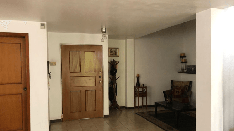 rochi_9050868_09.png