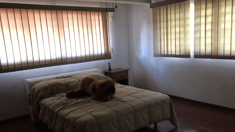 rochi_9050868_15.png