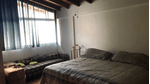 rochi_9050868_17.png