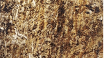habity_translucida_dubai_desktop_1