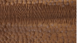 habity_cincelado_desktop_1