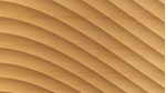 habity_ramin_desktop_1