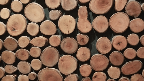 Mosaico de madera natural LI Chi Diseño Rolitas