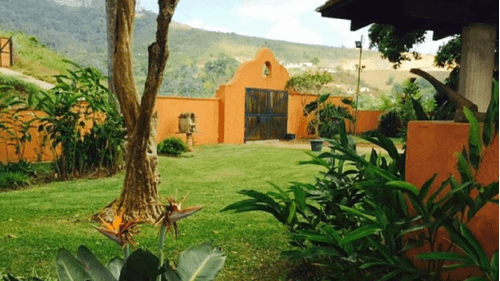 Finca en Venta San Antonio de Los Altos - 60000 m2